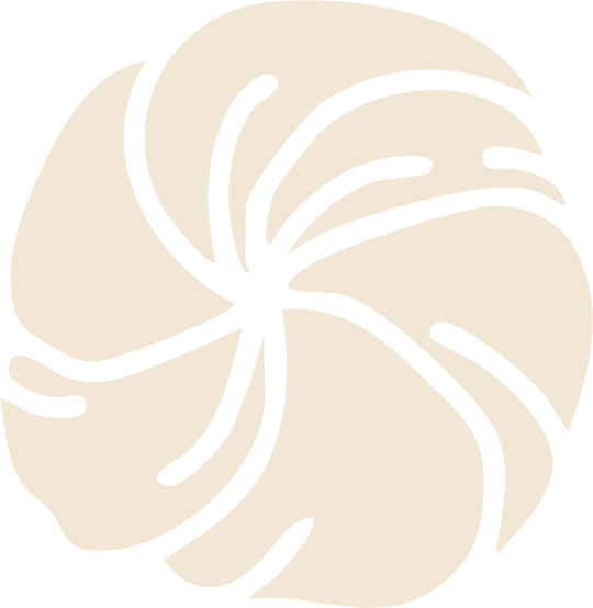 Decoration